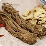 Astragalus Root