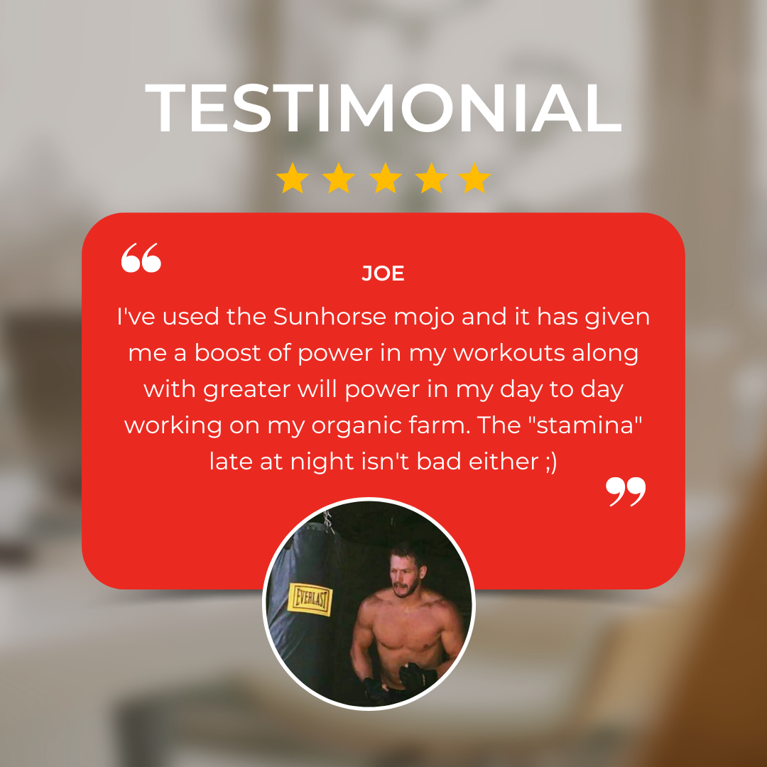 Mojo Testimonial