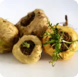 Maca
