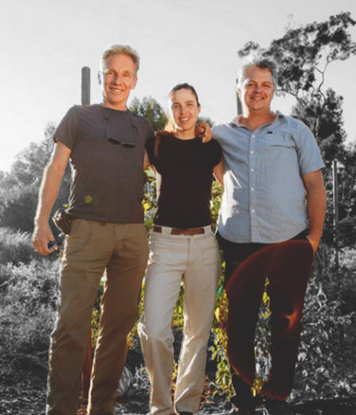 Get More Value With These 10 Energy Supplements